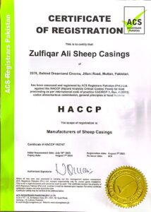 WhatsApp Image 2023-10-02 at 16.30.03_f7f00d34