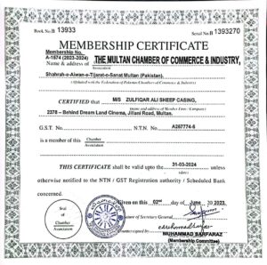 WhatsApp Image 2023-10-02 at 16.32.22_ec1d65f7